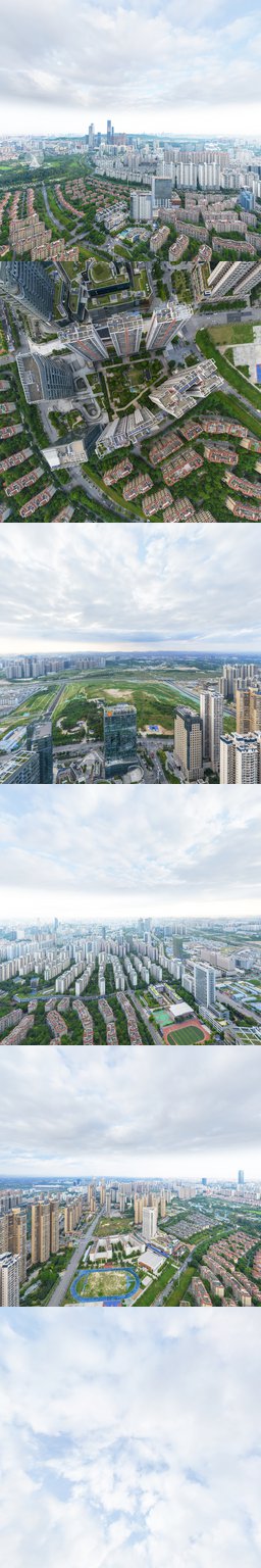 金御世家