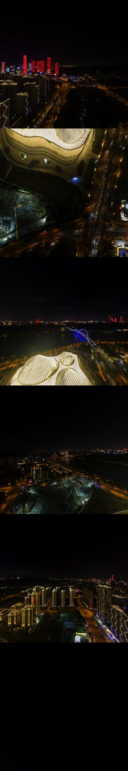 广西艺术中心夜景