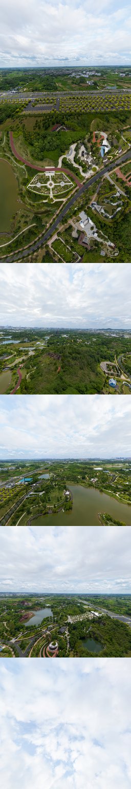 玫瑰花坪