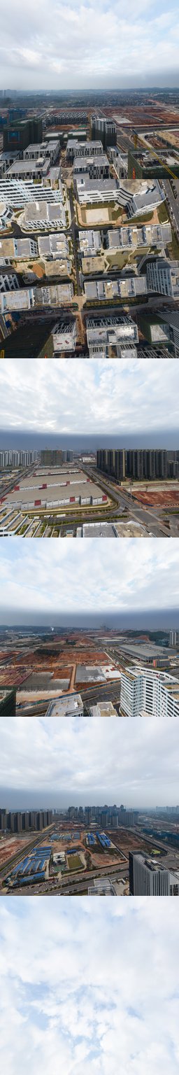 中新物流园