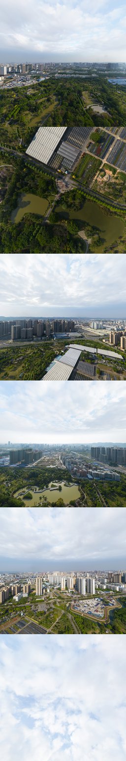 花卉公园