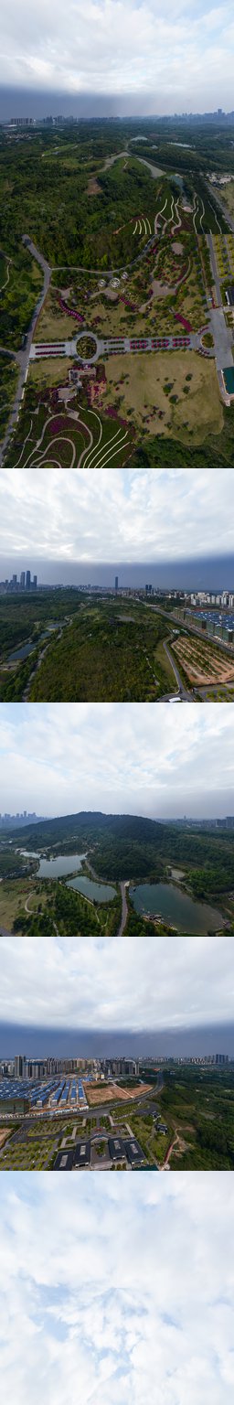 叶子花园