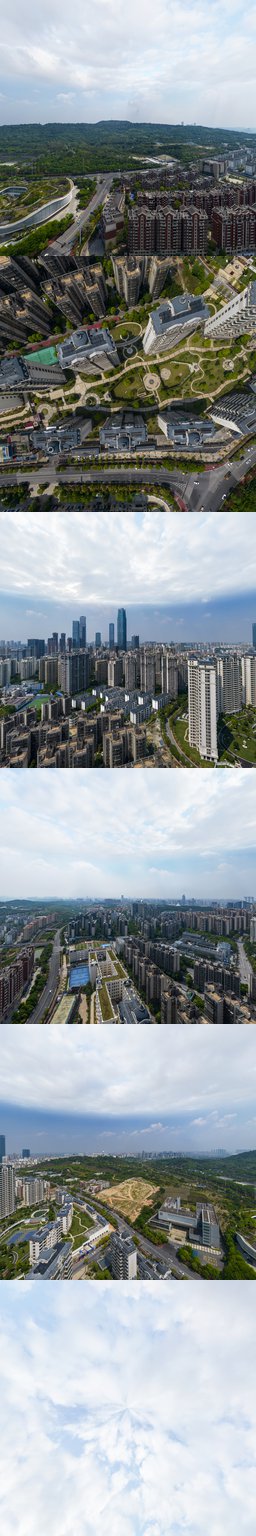 中央城D