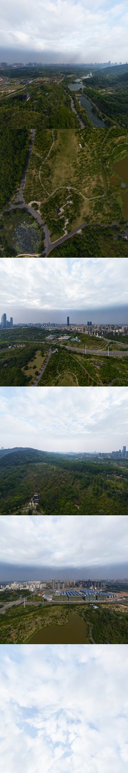 樱花园