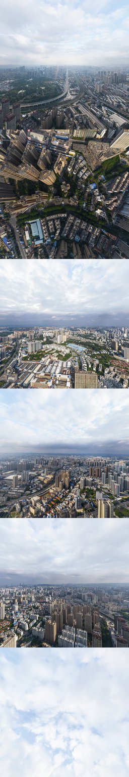 香樟林