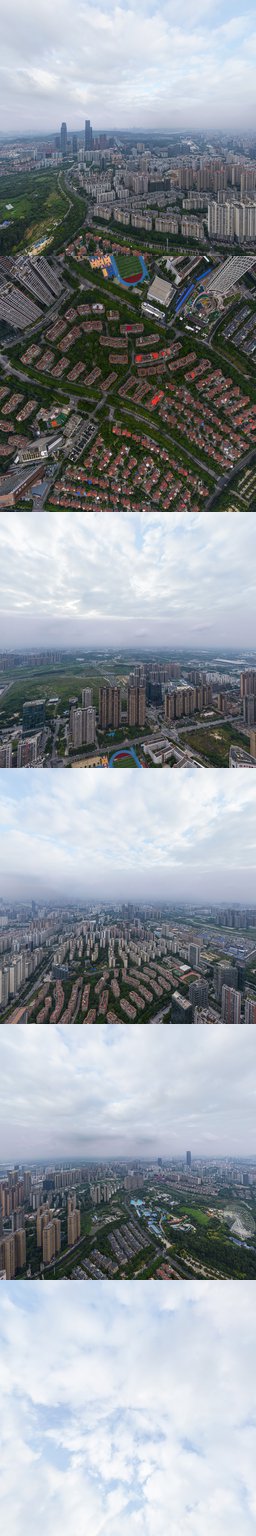 林业新村