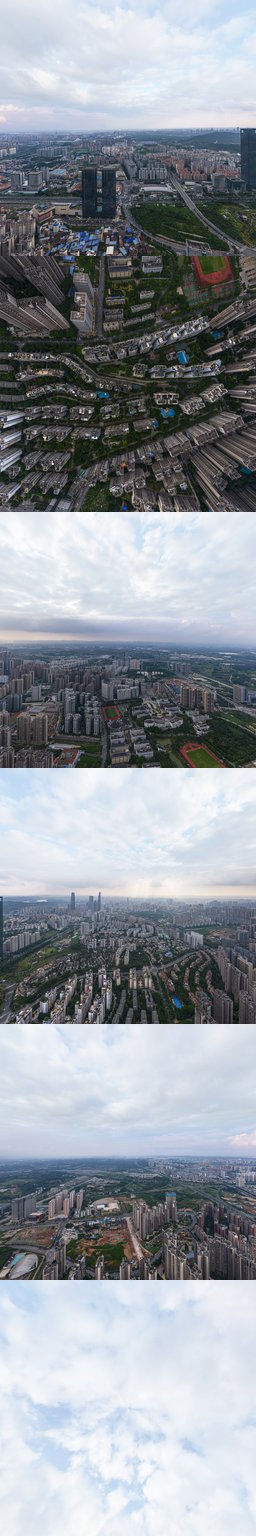 凤岭春天