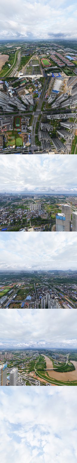 桂民投